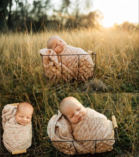 Outside Fall Newborn Pictures, Field Newborn Pictures, Newborn Photos Outside Fall, Newborn Photo Outdoor, Newborn Family Photos Outdoor Fall, Newborn Outdoor Photoshoot Fall, Outdoors Newborn Photography, Outdoor Fall Newborn Pictures, Outdoor Newborn Photography Fall