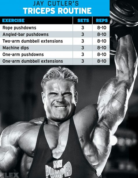 Jay triceps routine Jay Cutler Workout Routine, Musclepharm Workouts, Gym Workout Schedule, Bicep And Tricep Workout, Tricep Workout, Arm Workouts, Jay Cutler, Workout Training Programs, Body Structure