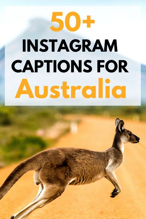 Australia Quotes for Instagram Captions Funny Aussie Quotes, Australian Sayings Funny, Australia Humor, Aussie Quotes, Funny Advice Quotes, Australia Quotes, Australian Quotes, Australia Quote, Nullarbor Plain