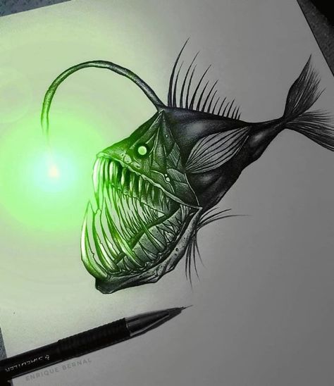 Beautiful Pencil Drawings, Digital Sculpture, Fine Art Landscape Photography, Glowing Art, Angler Fish, Mexican Artists, Fine Art Landscape, Graphic Design Print, Art Plastique