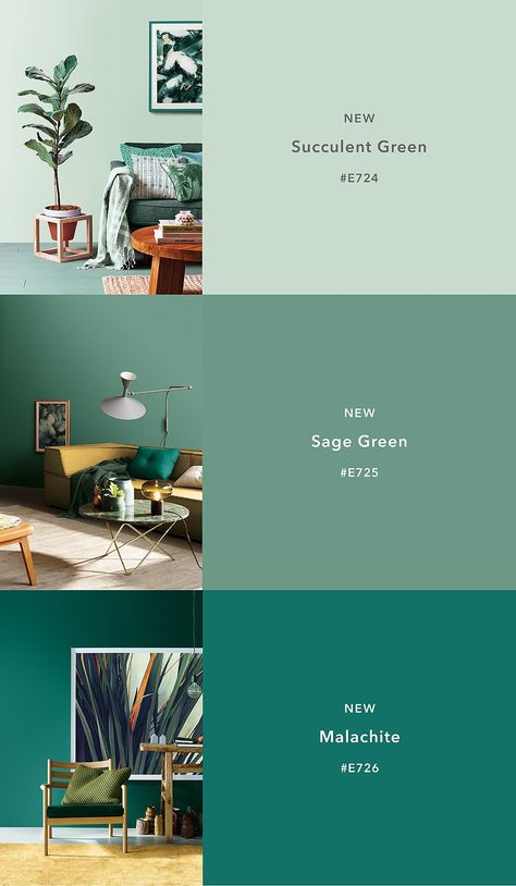 Living Room Red, Design Websites, Living Room Green, Green Rooms, Home Trends, Paint Colors For Home, Room Paint, Bedroom Colors, Room Colors