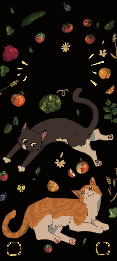 Fruit Black Yellow Cat Phone Wallpaper Black Cat Wallpaper Iphone, Phone Wallpaper Cat, Cat Iphone Wallpaper, Aesthetic Cat Wallpaper, Cat Wallpaper Iphone, Cat Pattern Wallpaper, Wallpaper Gatos, Cat Phone Wallpaper, Iphone Wallpaper Cat