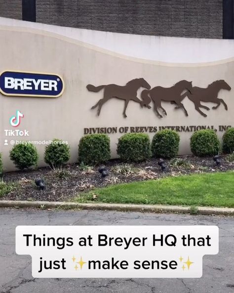 Breyer Horse Crafts, Breyer Horse Display, Breyer Horses Scenes, Schleich Horses, Bryer Horses, Horse Coats, Breyer Horse, Horse Crafts, Horse Accessories