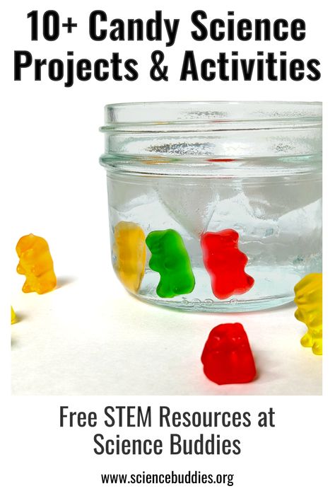 Sugar Crystal Science Project, Candy Science Experiments, Candy Science, Cool Science Fair Projects, Candy Melt, 8 Birthday, Types Of Candy, Gelatin Dessert, Stem Activity