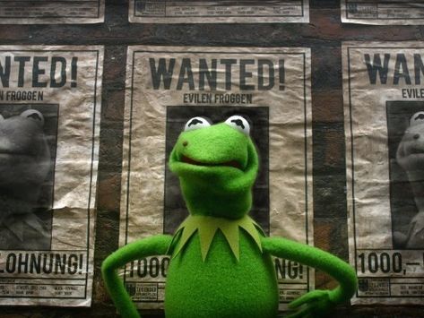 Muppets Most Wanted - http://www.weltenraum.at/muppets-most-wanted/ Ty Burrell, Die Muppets, Single Jokes, Muppets Christmas, The Muppet Movie, Wanted Movie, Muppets Most Wanted, Frog Life, Muppet Christmas Carol