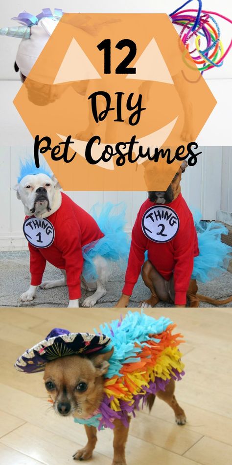 Halloween Pet Costumes: A dozen fun pet costume ideas you can DIY for your pet for Halloween. Halloween | costume | pets Pet Family Halloween Costumes, Pet Halloween Costumes Dogs, Diy Dog Costumes Pets, Diy Pet Costumes Dogs, Diy Halloween Costumes For Dogs, Creative Dog Costumes, Costume Ideas For Dogs, Pet Costume Ideas, Dog Costume Diy