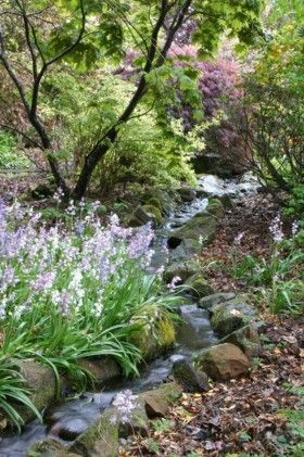 Garden Stream, Narrow Garden, Water Features In The Garden, Landscape Plans, Garden Pictures, Woodland Garden, Chelsea Flower Show, Garden Tours, Gorgeous Gardens