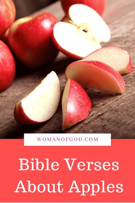 Bible Verses About Apples via @awomanofgod Apple Bible Verse, Apple Bible Lesson Preschool, Apple Bible Lesson, Apple Quotes, Apple Lessons, Old Testament Bible, Preschool Bible Lessons, Desert Land, Bible Verses Kjv