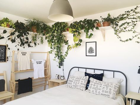 Long Plant Shelf Above Bed, Over The Bed Plant Shelf, Boho Bedroom Shelf Above Bed, Above Bed Shelf Styling, Long Shelves Above Bed, Bedroom Plant Shelf Above Bed, Plant Shelves Over Bed, Plant Shelves Above Bed, Plants Above Bed Shelves