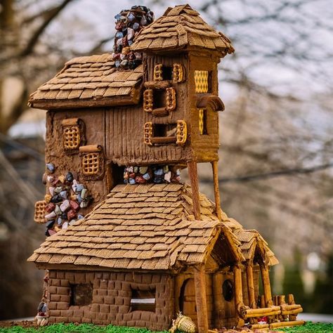 Gingerbread House Designs Creative, Cat Gingerbread House, Harry Potter Gingerbread House Ideas, Cool Gingerbread House Designs, Unusual Gingerbread Houses, Beautiful Gingerbread Houses, Gingerbread House Recipes, Homemade Gingerbread House Ideas, Epic Gingerbread House