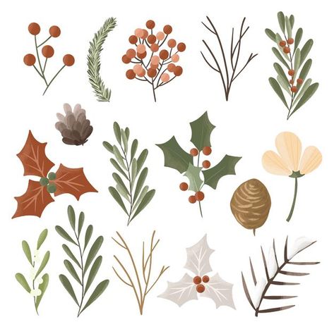 Set of hand drawn winter plants isolated... | Premium Vector #Freepik #vector #christmas #floral #winter #flower Winter Drawings, Plant Doodle, Arte Aesthetic, Watercolor Art Landscape, Christmas Plants, Christmas Card Art, Plant Vector, Winter Plants, Sustainable Art