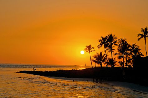 Yellow Summer Aesthetic, Yellow Scenery, Beach Sunset Landscape, Horizontal Photos, Orange Aura, Golden Summer, Yellow Sunset, Tropical Landscape, Way To Heaven