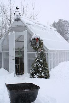 Year-round Uses for A Cold Climate Greenhouse Beautiful Greenhouse, Cold Climate Gardening, Winter Greenhouse, Greenhouse Shed, Greenhouse Ideas, Greenhouse Growing, Small Greenhouse, Greenhouse Plans, Winter Vegetables