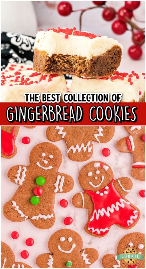 GINGERBREAD COOKIE RECIPES - Family Cookie Recipes Gingerbread Cookie Recipes, Hanukkah Baking, Christmas Treats Recipes, Best Gingerbread Cookie Recipe, Gingerbread Cookie Bars, Easy Gingerbread Cookies, Best Gingerbread Cookies, Special Cookies, Christmas Food Treats