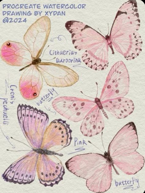 Butterfly Art Reference, Butterfly Drawing Ideas Creative, Butterfly Aesthetic Drawing, White Butterfly Drawing, Pink Butterfly Poster, Butterfly Drawing Aesthetic, Butterfly Reference, Coquette Drawing, Butterfly Doodle