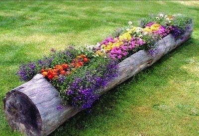 flower log Log Planter, Different Types Of Flowers, Have Inspiration, The Secret Garden, Lawn And Garden, Types Of Flowers, Raised Garden, Dream Garden, Garden And Yard