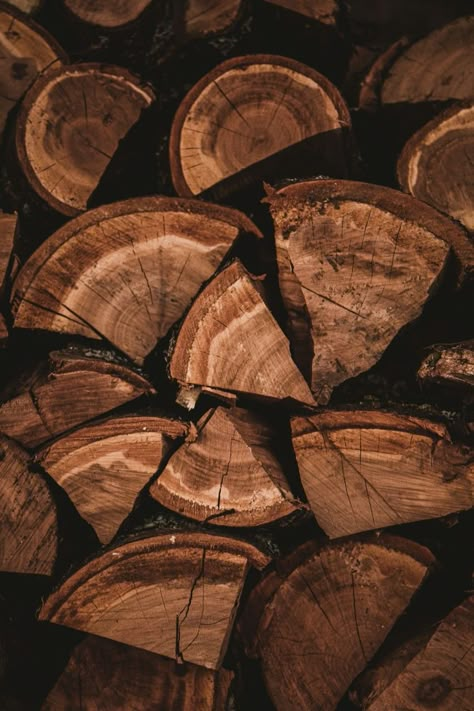 Diy Furniture Wood, White And Black Cat, Brown Image, David Chipperfield, Wooden Log, Focus Photography, Furniture Wood, Seni Cat Air, Brown Walls