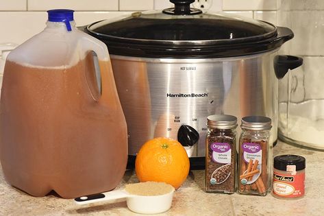 Crockpot Cider, Hot Mulled Cider Recipe, Christmas Apple Cider, Hot Cider Recipes, Easy Apple Cider Recipe, Spiced Cider Recipe, Crockpot Drinks, Spiced Apple Cider Recipe, Hot Apple Cider Recipe