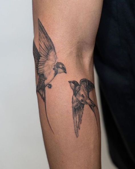 Tattoo Themes Sleeve, Detailed Bird Tattoo, 2 Bird Tattoo, 2 Swallows Tattoo, 2 Birds Tattoo, Luke Tattoo, Sparrow Tattoos, Swallow Bird Tattoo, Bird Tattoos Arm