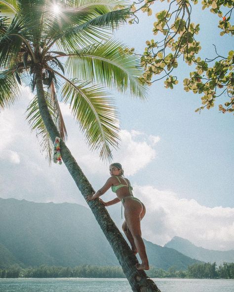 sienna mae gomez!!! on Instagram: “🧍🏽‍♀️+ 🌴” Barbados Photography, Tanning Pictures, Instagram Model Aesthetic, Makeup Inspo Natural, Climbing Women, Sienna Mae, Bronzed Makeup, Tan Girl, Beach Film