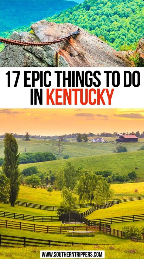 17 Epic Things to do in Kentucky Places To Visit In Kentucky, Things To Do In Kentucky, Kentucky Camping, Kentucky Attractions, Kentucky Vacation, Kentucky Bourbon Trail, Kentucky Travel, Road Trip Places, Popular Places