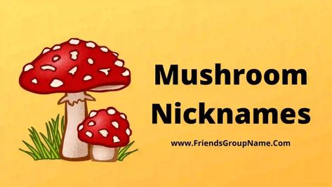 Mushroom Nicknames: So hi friend how all of you guys today I am very excited, I have tried to provide you the list of Mushroom Nicknames, if you check all the nick names well, then you can feel very best and you can get a better mushroom name If you are trying to keep it ... Read more The post 250+ Mushroom Nicknames【2022】Cute, Best & Funny Mushroom Names Ideas appeared first on Friends Group Name List for Friends, Family, Cousins, Cool and Funny. Mushroom Names Aesthetic, Cute Mushroom Sayings, Mushrooms Names, Friends Group Name, Pun Names, Mushroom Names, Nicknames For Friends, Nick Names, Funny Mushroom