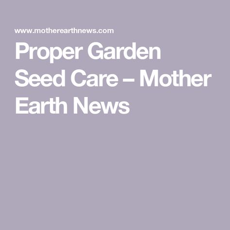 Proper Garden Seed Care – Mother Earth News How To Save Seeds, Raising Turkeys, Save Seeds, Raising Pigs, Raising Cattle, Green Transportation, Green House Design, Seed Box, Gardening Techniques