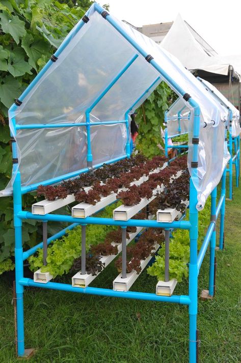 Hydroponic Garden, Hydroponic Farming, Hydroponics Diy, Aquaponic Gardening, نباتات منزلية, Hydroponic Growing, Plants Growing, Aquaponics System, Vertical Gardens