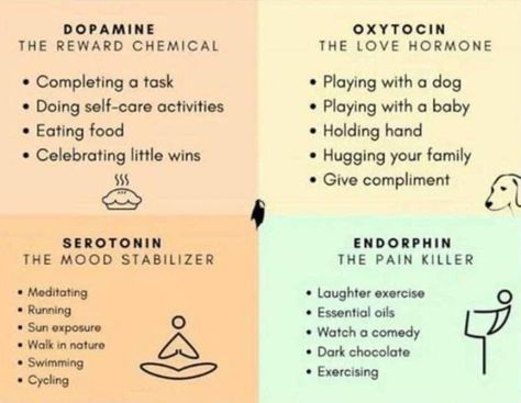 Happiness Chemicals, Perfect Boiled Eggs, Brain Chemicals, Eye Color Chart, Mood Stabilizer, Perfect Cup Of Tea, Baby Eating, Simple Life Hacks, Self Care Activities