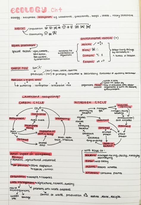 #biology #neatnotes #ecology #aestheticnotes #neathandwriting Ecosystem Biology Notes, Biology Revision Gcse Ecology, Biology Notes Ecology, Biology Ecology Notes, Ecology Notes College, Population Ecology Notes, Ecology Study Notes, Environmental Studies Notes, Ecology Revision