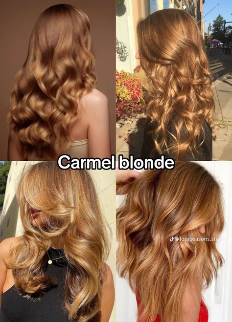 Box Dye Hair Color At Home, Blonde Autumn Hair, Blond Shades, Styl Grunge, Caramel Blonde Hair, Holographic Hair, Dark Blonde Hair Color, Honey Blonde Hair, Dark Blonde Hair