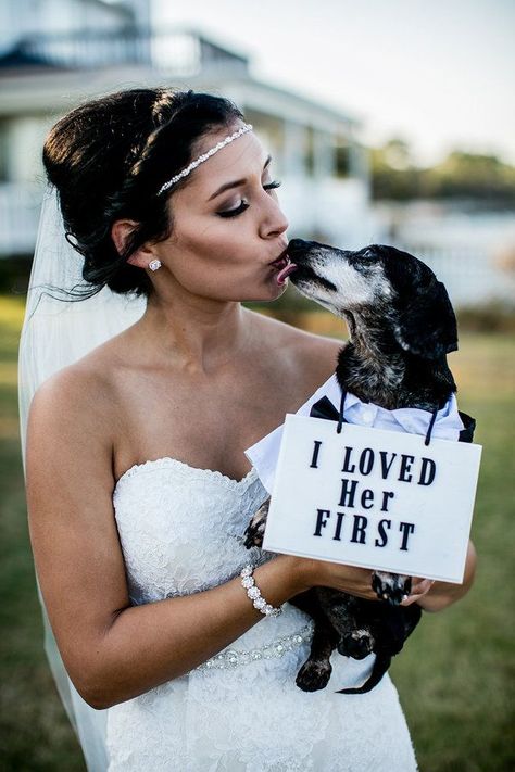 24 Wedding Pups That Are Just As Cute As Any Flower Girl Or Ring Bearer Wedding Ceremony Signs, Ceremony Signs, Wedding Pets, Future Wedding Plans, Cute Wedding Ideas, Dog Wedding, A Wedding Dress, Wedding Pics, A Sign