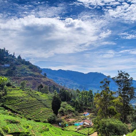 Ooty Hill Station Aesthetic, Ooty Hill Station Photography, Ooty Hill Station, Ooty Tourist Places, Manali Aesthetic, Landscape Reference, Inspiration Portrait, East India Company, Photography Inspiration Portrait