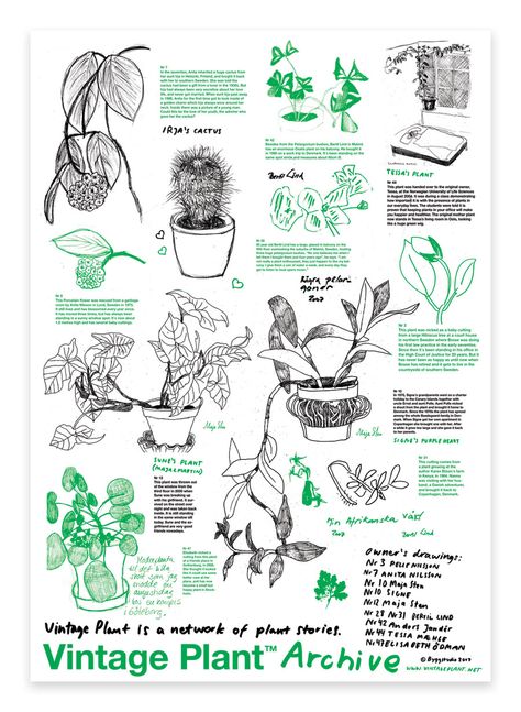 Byggstudio Plant Poster Design, Plant Magazine, Plant Graphic, Graphic Aesthetic, Endangered Plants, Kpop Clothes, Plant Poster, Research Poster, 달력 디자인