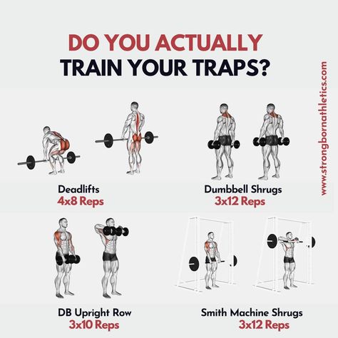 Workout For Traps, Lower Traps Exercises, Trap Muscle Workout, Trap Excersises, Mid Trap Exercises, Trapizeus Muscle Workout, Trap Exercises For Women, Trap Workout Women, Lower Trap Exercises