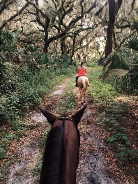 Horseback Trail Riding, Horse Trail Ride, Horseback Riding Aesthetic, Riding Aesthetic, Trail Riding Horses, Horse Trails, Fox Hunter, Horseback Riding Trails, Sweet September