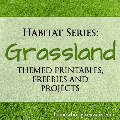 Habitat Series: Grassland Themed Printables, Freebies and Projects | Homeschool Giveaways Grassland Activities For Preschool, Grassland Project, Grasslands Biome, Grassland Ecosystem, Grassland Animals, Biomes Activities, Animals And Habitats, Biome Project, Ecosystem Activities