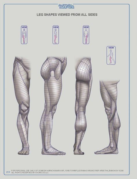 ANATOMY FOR SCULPTORS – 218 photos | VK Leg Anatomy, Drawing Legs, Man Anatomy, Anatomy Sculpture, Výtvarné Reference, Human Body Anatomy, Anatomy Tutorial, Human Anatomy Drawing, Human Figure Drawing