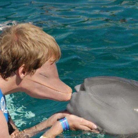 The Dolphin: | 26 Face Swaps That Will Make You Ridiculously Uncomfortable Funny Face Swap, Foto Langka, Face Swap, Face Swaps, 웃긴 사진, صور مضحكة, Akita, Funny Faces, Bones Funny