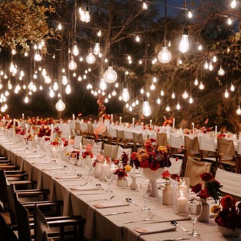 Bushveld Wedding, Destination Wedding Italy, Gala Dinner, Princess Wedding, Italy Wedding, Under The Stars, Little Princess, Event Decor, Wedding Inspo