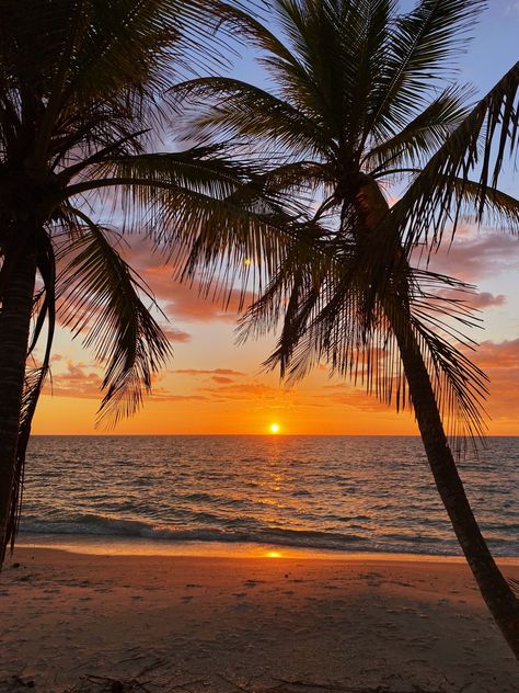 Black Sea Aesthetic, Beach Aesthetic Palm Trees, Guadeloupe Aesthetic, Sunset Beach Aesthetic, Sunset Palm Trees, Dark Beach, Summer Nature Photography, Kartu Remi, Sunrises And Sunsets