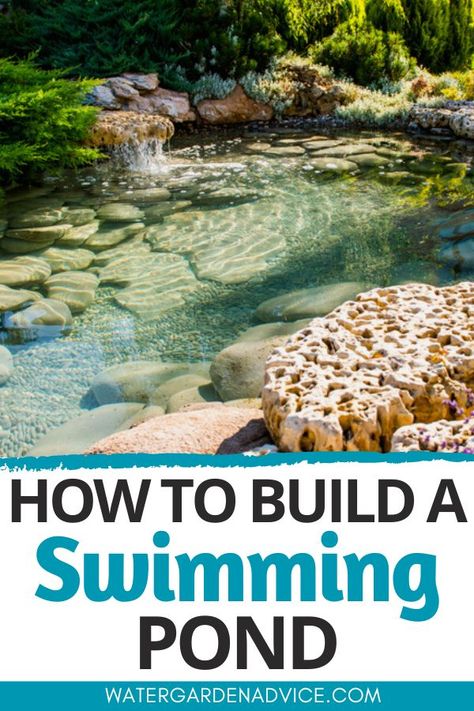 How To Create A Natural Swimming Pond - Water Garden Advice Swimming Pool Pond, Natural Swimming Ponds, Small Backyard Design Ideas, Backyard Design Layout, Diy Swimming Pool, Backyard Design Ideas, Swimming Pond, Natural Pond, Natural Swimming Pools