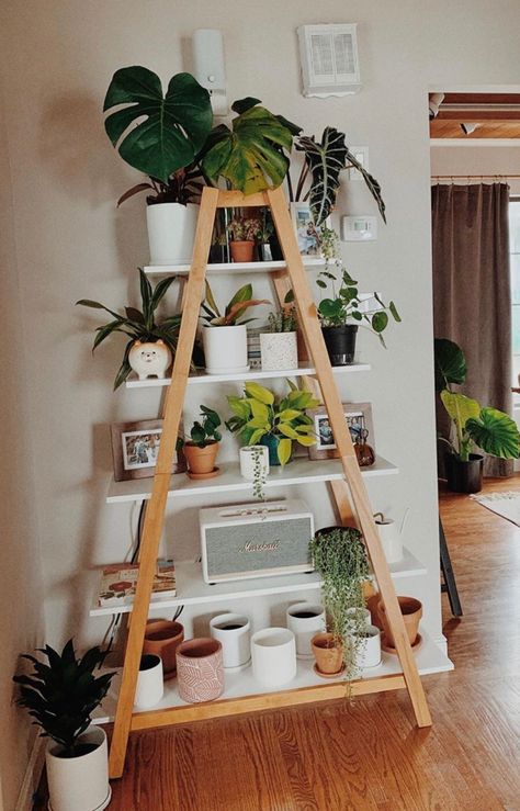 Plants Holder Indoor, Diy A Frame Plant Stand, A Frame Plant Stand Diy, A Frame Shelf Diy, Living Room Plant Stand, Diy A Frame Shelf, Plants Stands Indoor, Diy Plant Shelves Indoor, Plant Stand Diy Indoor