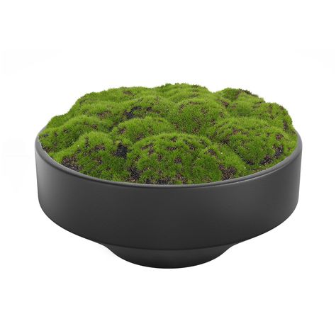 PRICES MAY VARY. Size: 11" x 5.3" D Handmade Ceramic Bowl Artificial Moss Care Instructions: For Decorative Purposes,No maintenance Package includes: 1 x Ceramic Moss Bowl This beautiful handmade ceramic moss bowl is perfect for adding a touch of nature to your home or office decor. The 11" moss bowl is made from high-quality ceramic and is hand-made with a natural moss color that gives it a realistic and organic look. The moss bowl is a great centerpiece for any table or shelf. Moss Ball Centerpiece, Moss Bowl Centerpiece, Moss Bowl, Moss Color, Handmade Ceramic Bowl, Bowl Centerpiece, Wood Trunk, Moss Balls, Unique Centerpieces