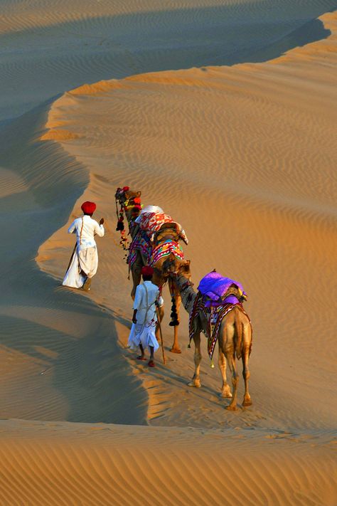 Rajsthani Culture Photography, Desert Images, Udaipur India, Rajasthani Art, India Architecture, Desert Dunes, Amazing India, Desert Photography, Desert Travel