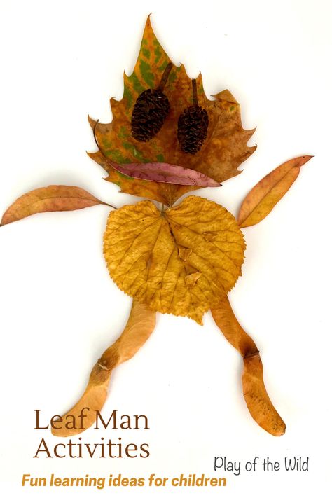 Enjoy these fun Leaf Man activities to make learning fun. Please see PlayoftheWild.com. #designandtechnology #dt #eyfs #preschool #kindergarten #year1 #firstgrade #looseparts #leaves #leafactivities #leafman #outdoor #outside #literacy #learning #teaching #leafactivities Leaf Man Activities, Leaf Lessons, Fall Leaf Template, Science For Toddlers, Thanksgiving Crafts Preschool, Leaf Man, Fall Preschool Activities, Eyfs Activities, October Crafts