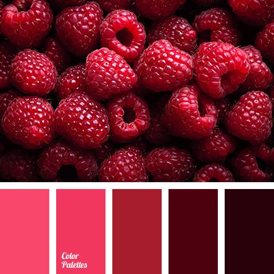 Cold berry palette shifts gradually from lilac to dark burgundy. This elegant color range is bound to look good in a bedroom and will create an unusual atm. In Color Balance, Color Palette Ideas, Red Colour Palette, Warm Palette, Palette Ideas, Color Palette Pink, Raspberry Color, Color Palate, Design Seeds