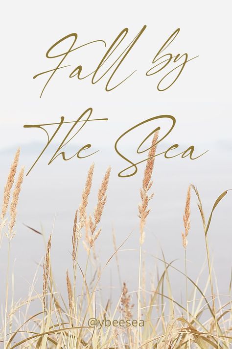 Coastal fall inspirations. Find me by the Sea - Fall beach vibes, quotes and decor ideas, autum sea ideas  @ybeesea Fall Beach Decor, Fall Beach Aesthetic, Beachy Fall Decor, Beach Vibes Quotes, Coastal Fall Decor Ideas, Fall Decoration Ideas, Sea Ideas, Coastal Fall, Fall Beach