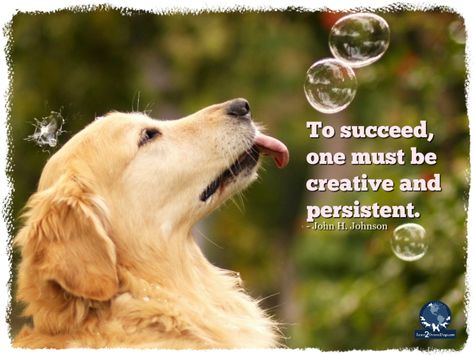 Golden Retriever Desktop Wallpaper, Golden Retriever Wallpaper, Perros Golden Retriever, Dog Background, Psy I Szczenięta, Blowing Bubbles, A Golden Retriever, Dog Wallpaper, Retriever Puppy