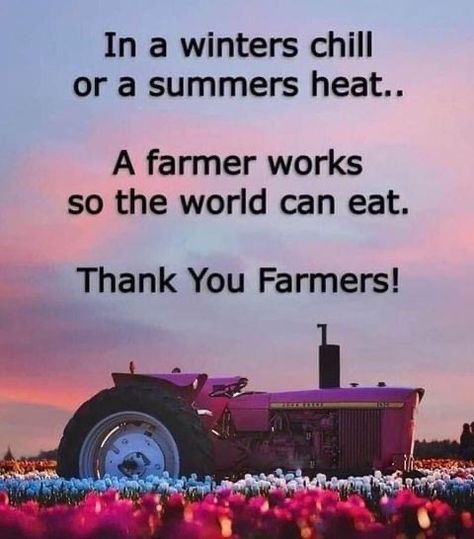 Thank You Farmers No Farmer No Food, Farmer Quote, Thank A Farmer, Farmer Quotes, Farm Facts, Thank You Farmer, Pray For Them, Let's Pray, Saving Quotes